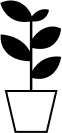Decorative image