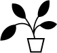 Plant Image